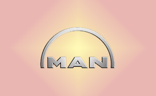 ✓ MAN 81.11108.0025 Запчасти МАН (MAN) 